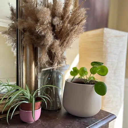 Σπίτι διακοπών Maison Chic Et Cosy